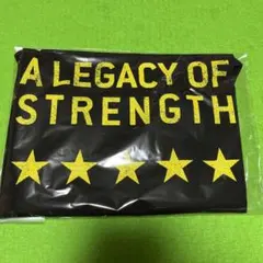 ゴールドジム　タンクトップS 新品　メンズ・レディースどちらも可