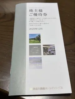 東急不動産ホールディングス 株主様ご優待券