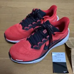 最終値下！NIKE エアズーム ペガサス 41 26.5cm