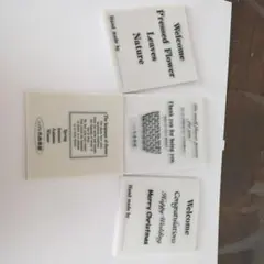 Item thumbnail for item c1c2e719-f724-45a9-9ac8-1e2248867ff9