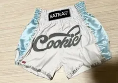 Item thumbnail for item 2cf920ed-c9a5-4ee6-b361-1108430aab5b