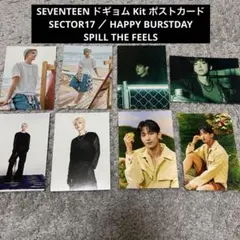 SEVENTEEN ドギョム Kit ポストカード SECTOR spill