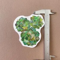 No.596 ガーデニングイラスト 防水ステッカー シール 多肉植物 インテリア