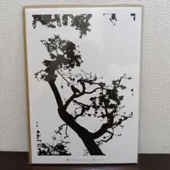 Pastelrib アートポスター Akitotose