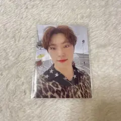 tokki様専用ページ　ディノ　おまとめ