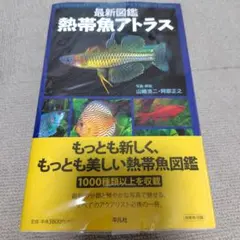 Item thumbnail for item f359f1cc-24ce-4f5b-a1fb-7f99ae1c31a3