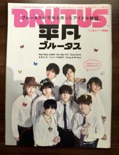 BRUTUS 2019年3月1日号 平凡ブルータス