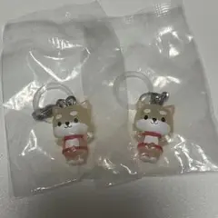 JOCHUM めじるしアクセサリー まめちぃ 2個セット