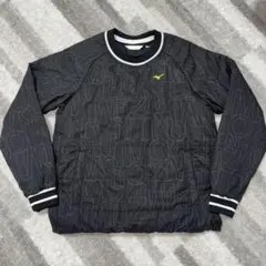 Item thumbnail for item 9b17546d-7e7b-478d-851c-e79cb844daf0