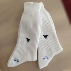 学生ワンポイント靴下 24〜26　2足