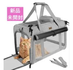 Item thumbnail for item 507a7ceb-f6ee-4063-a77d-f33fa41f8d1f