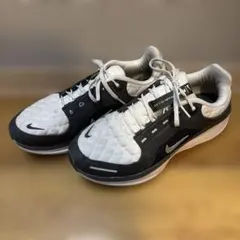 NIKE AIR WINFLO 11 GTX 26.0㎝
