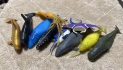 Item thumbnail for item a9ebd2e2-bb2c-4009-83ae-1b86c5790972