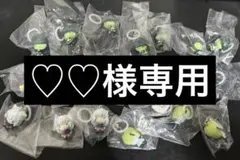 ハンターハンター　めじるしアクセサリー