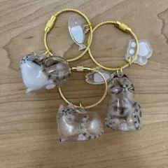 うちの子のけだまだま第二弾 アメショ キジ白　シャムトラ猫