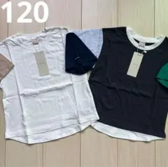 【プティマイン】重ね着風 袖切り替え Tシャツ 2点セット 120