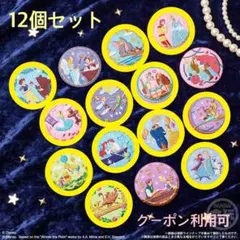 ディズニー　刺繍缶バッジ　12個セット　Disny