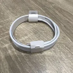 【Apple純正】Lightning⇆タイプC ケーブル