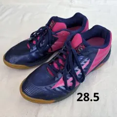 Mizuno 卓球シューズ28.5