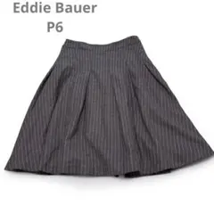 Eddie Bauer ストライプ フレアスカート タグサイズ/P6? ブラウン