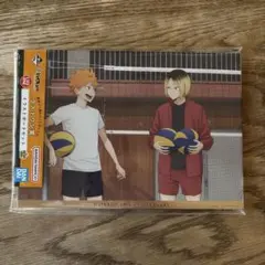 ハイキュー!! 一番くじ〜10th anniversary 〜ラストワン賞