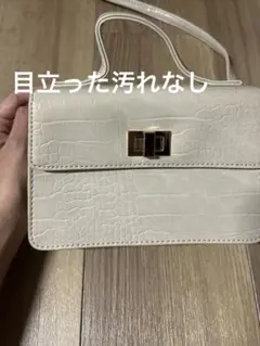 earth music&ecology クロコ型押し ショルダーバッグのサムネイル