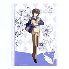 SEED FREEDOM preppy style ポスカ キラ