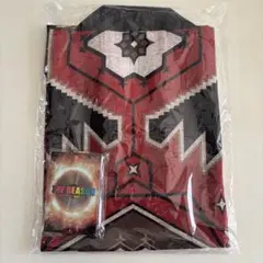 THE REASON アプグレグッズ　フラッグなし