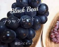 葡萄　ブラックビート　２房のサムネイル