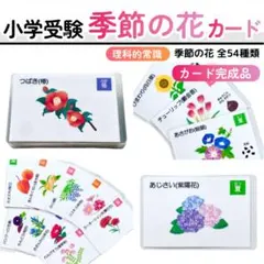 ぺこ美品譲ります❣️フォローで割引✌️様 リクエスト 3点 まとめ商品