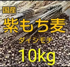 令和8年用　天のつぶ　種もみ　10kg 令和8年用 天のつぶ 種もみ 10kg - メルカリ