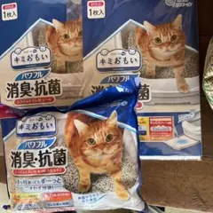 Item thumbnail for item 32414b89-b31b-4eee-a99e-1dde0dec680f