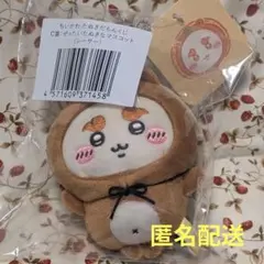 ちいかわ たぬきだもんくじ C賞シーサー①