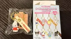 Mini Sanrio ポチャッコ シークレット立体キーホルダー風ミニチャームのサムネイル
