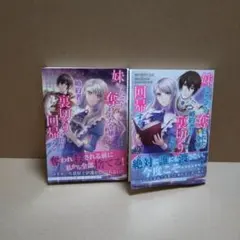 妹にすべてを奪われた令嬢は婚約者の裏切りを知り回帰する ①②
