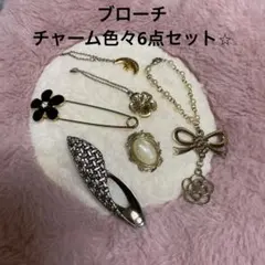 ブローチ チャーム色々 6点セット