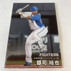 2025年最新】30郡司裕也の人気アイテム - メルカリ