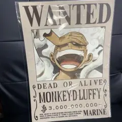 30億ルフィWANTED 新四皇手配書コンプリートセット - メルカリ