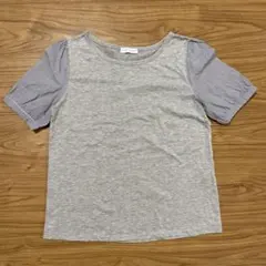 E hyphen world gallery 半袖Tシャツ グレー ストライプのサムネイル