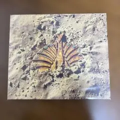 はなまる様 リクエスト 3点 まとめ商品