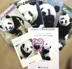 大パンダ展限定♦️お守り シャンシャンバッジ 上野動物園 パンダ