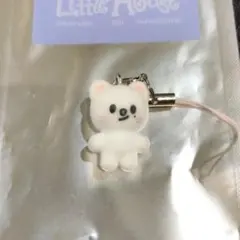 Stray kids スキズ ペンミ シークレットミニチャーム ジニレット