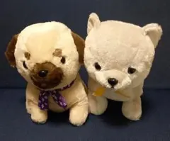 「豆柴犬」BIGぬいぐるみセット