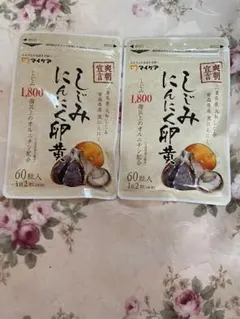 Item thumbnail for item 14e336c9-0786-4655-9e25-8e825a892235