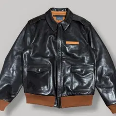 Item thumbnail for item a7a0674f-4942-4237-b8d0-2eb9afdeae08