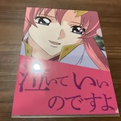 ガンダムSEED♡キラ＆ラクスクリアファイル＆特典ポストカード - メルカリ