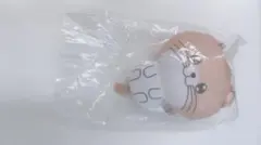 正反対な君と僕 ゆめぬい 天ぷら
