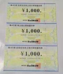 ビックカメラ 優待券