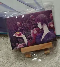 フルバ　キャンバス