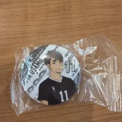 ハイキュー　くら寿司　宮治